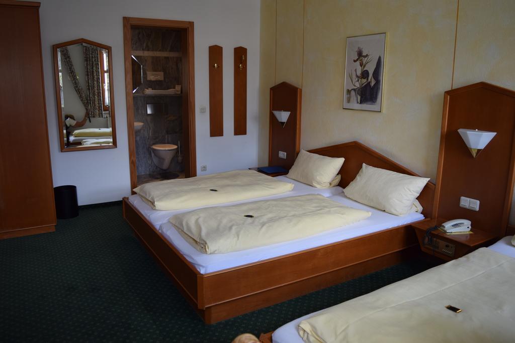 Hotel Zum Braeu Kinding Pokoj fotografie