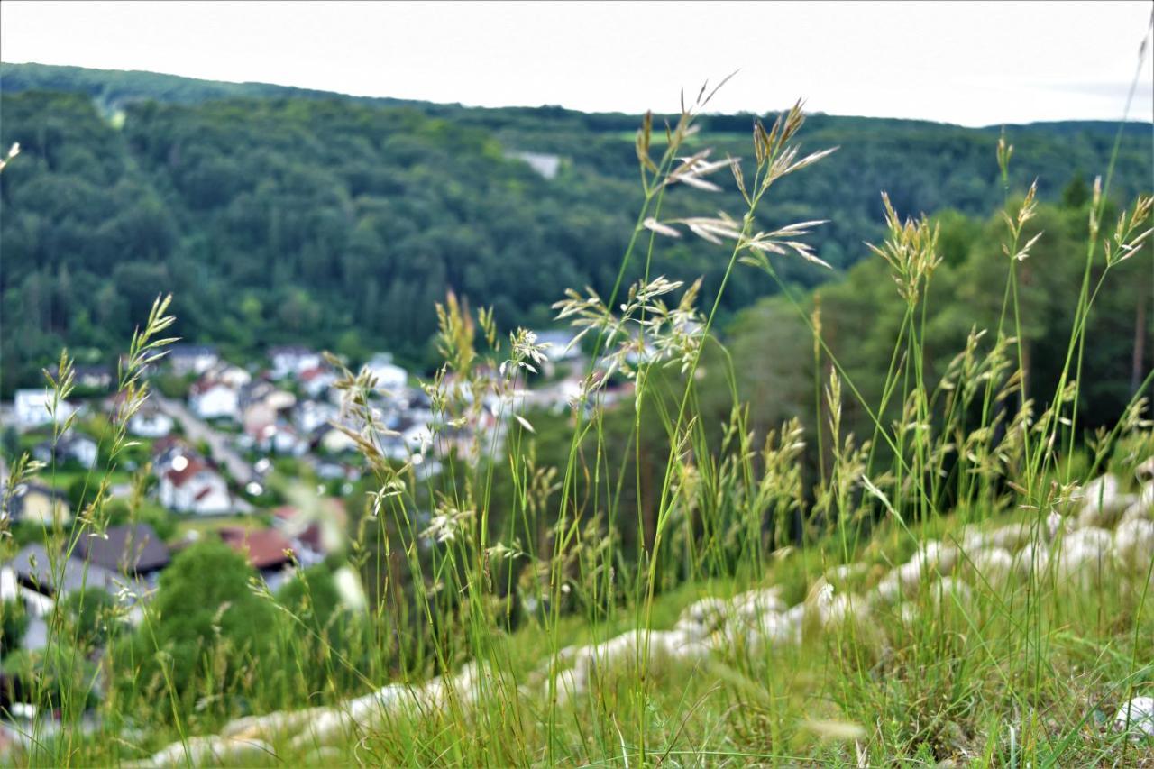 Hotel Zum Braeu Kinding Exteriér fotografie