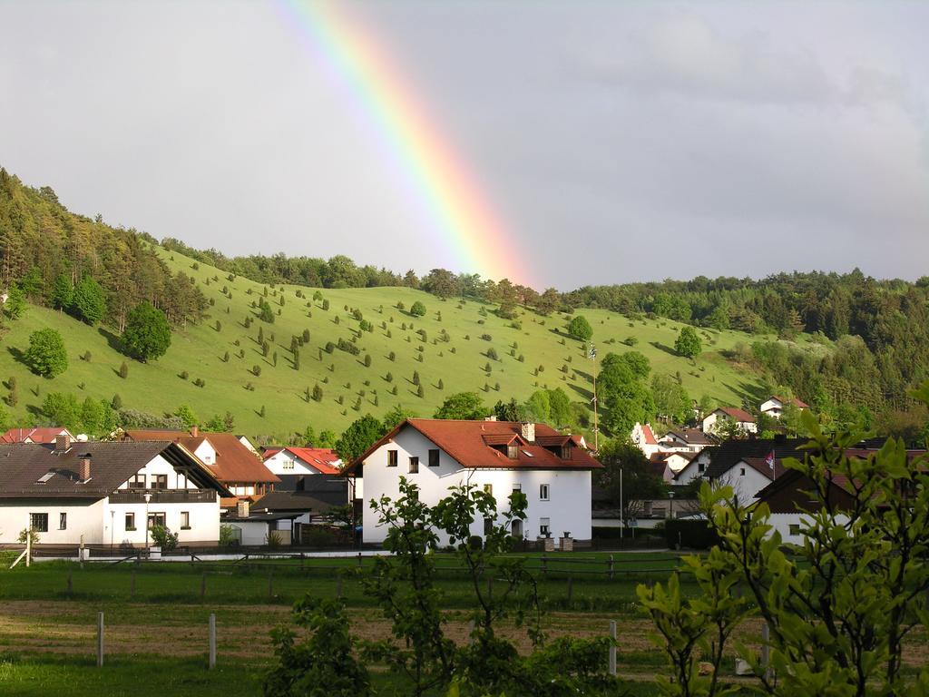 Hotel Zum Braeu Kinding Exteriér fotografie
